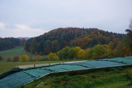 Galarie-Bilder