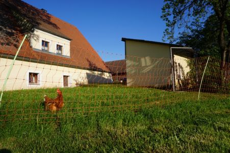 Geflügelnetz Tierhaltung