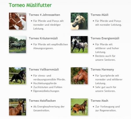 Müslifutter Pferd Tierhaltung