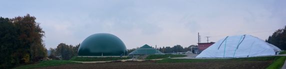 Biogas