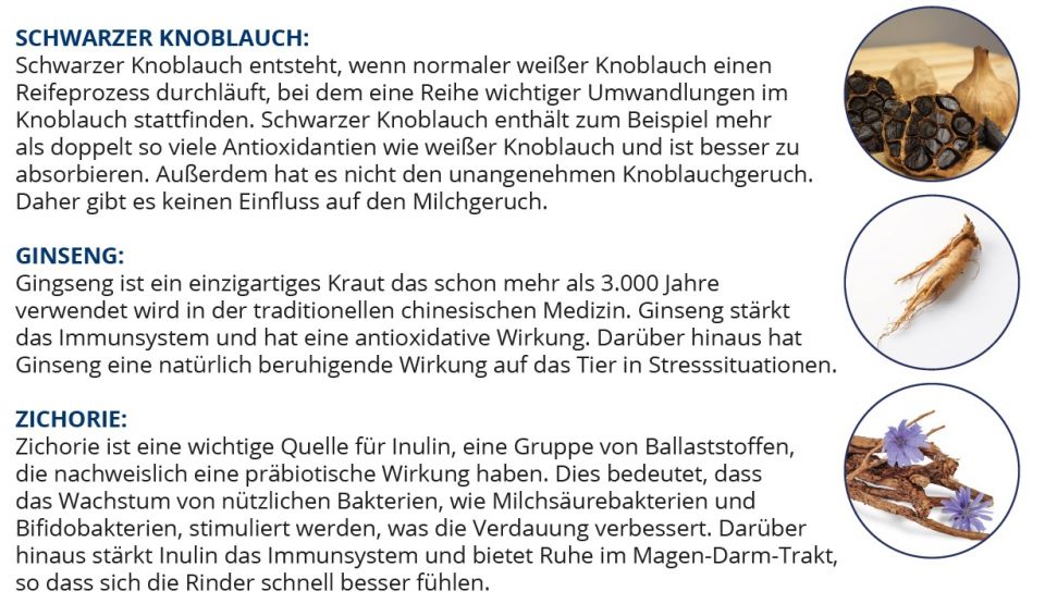 Knoblauch Bolus Rind - Inhaltsstoffe Tierhaltung