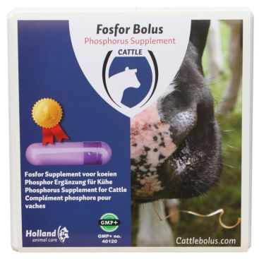 Phosphor Bolus nach dem Abkalben Tierhaltung