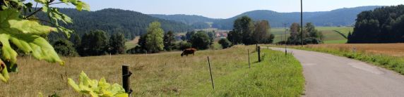 Biosaatgut