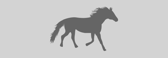 Pferd