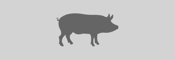 Schwein